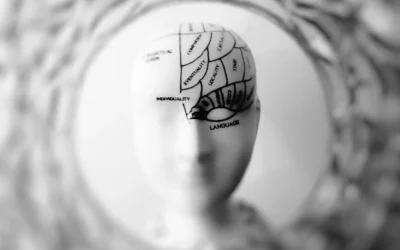 Qu&rsquo;est ce qu&rsquo;un biais cognitif ?