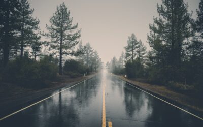 User Journey